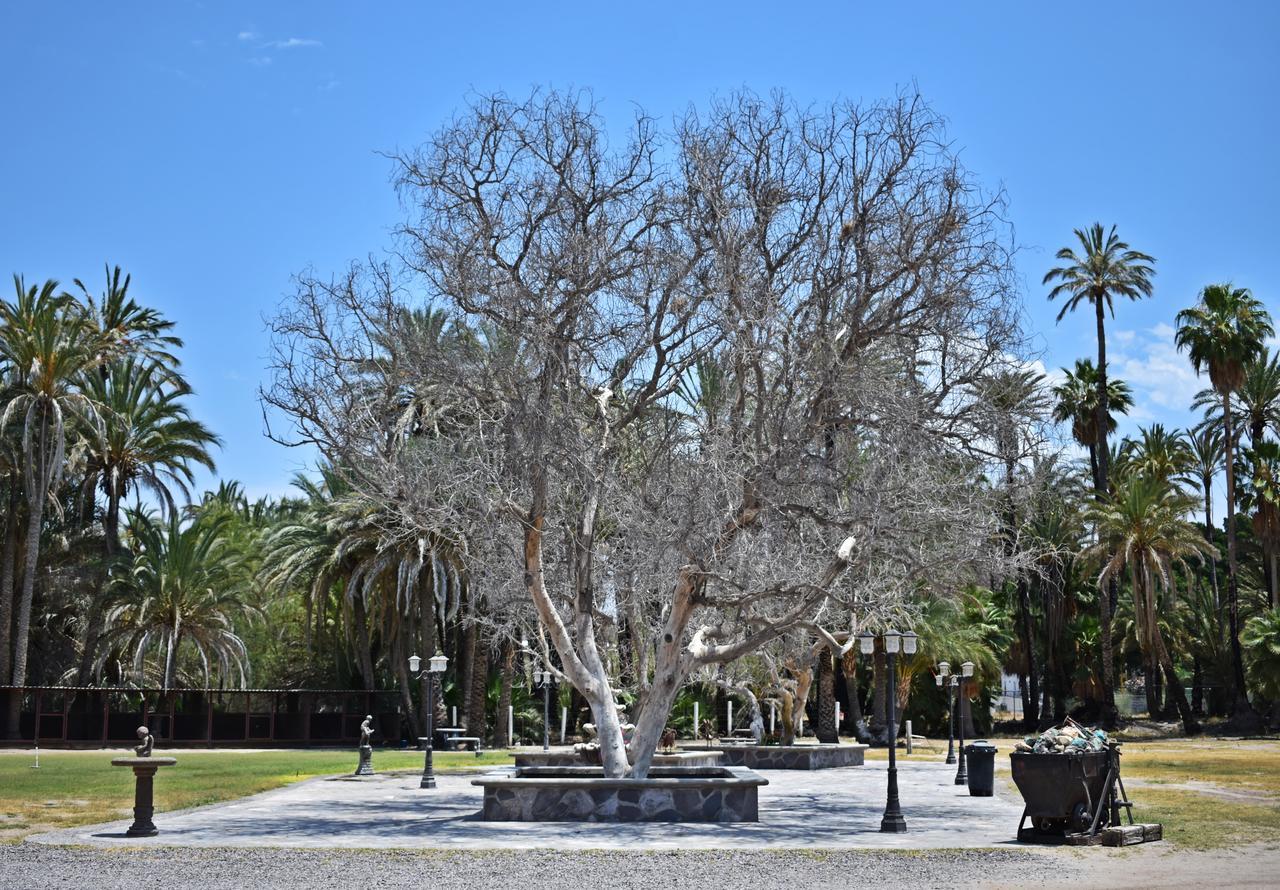 La Huerta Hotel San Ignacio  Εξωτερικό φωτογραφία